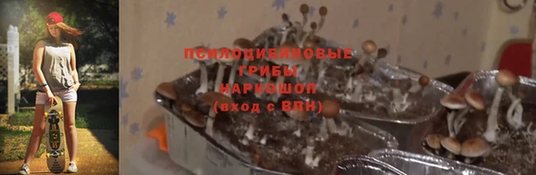 прущая мука Алзамай
