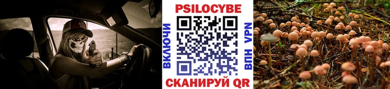 где купить наркоту  Нижний Ломов  Галлюциногенные грибы MAGIC MUSHROOMS 
